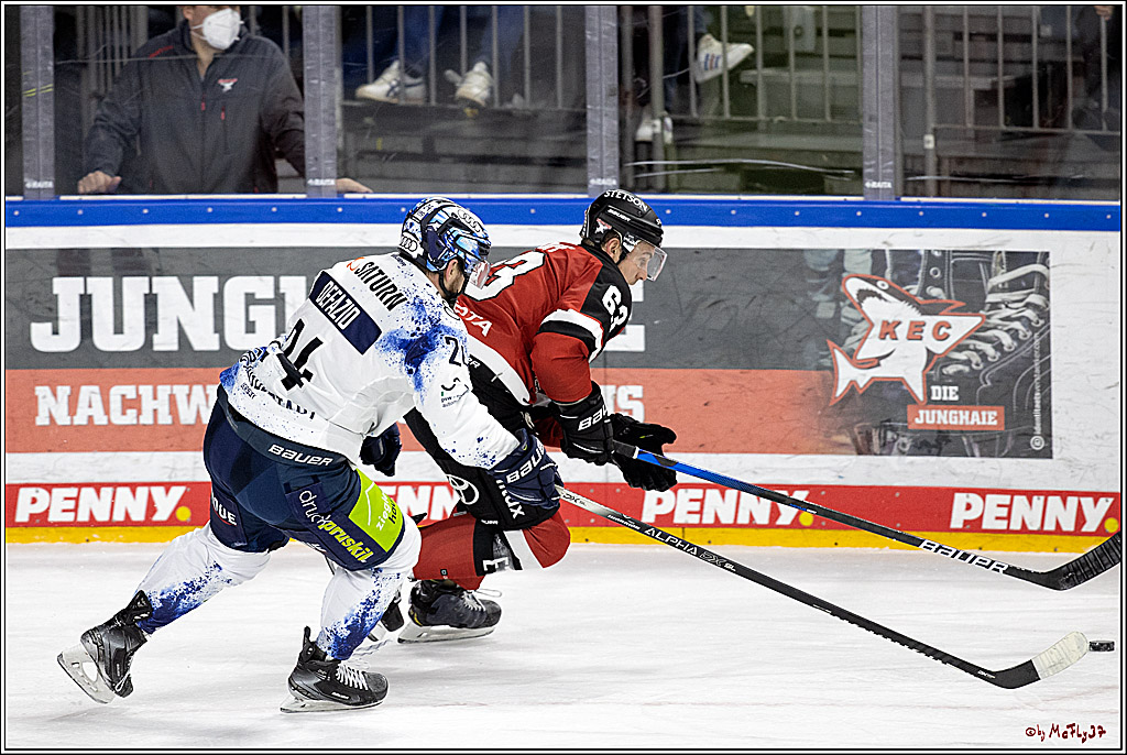 PENNY DEL;  Koelner Haie - ERC Ingolstadt; Koeln, 19.12.2021